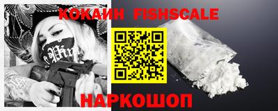 гашик Кингисепп