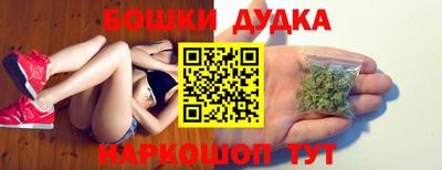 гашик Кинель
