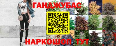 гашик Кинель