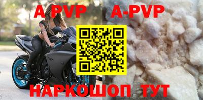 гашик Кингисепп
