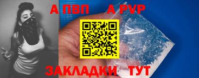 гашик Кингисепп