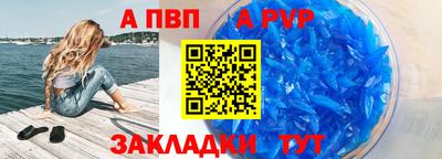 гашик Кингисепп