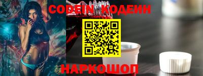 гашик Кингисепп