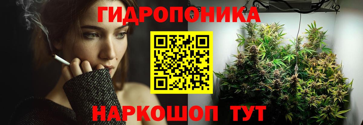 Бошки марихуана план Краснознаменск